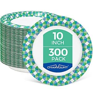 300-Count 10-Inch Disposable Paper Plates