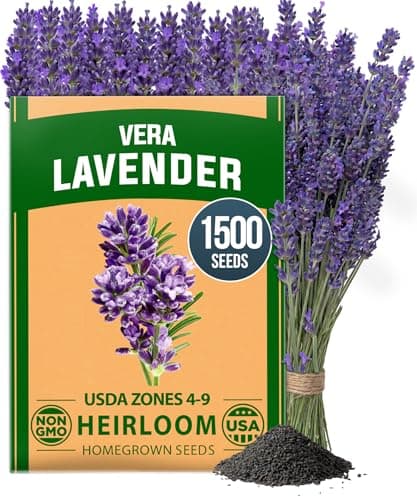 Home Grown 1500+ Non GMO English Lavender Seeds (Various)